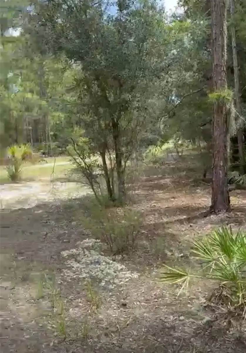 0 Orchid Drive, Indian Lake Estates, FL 33855 - #3