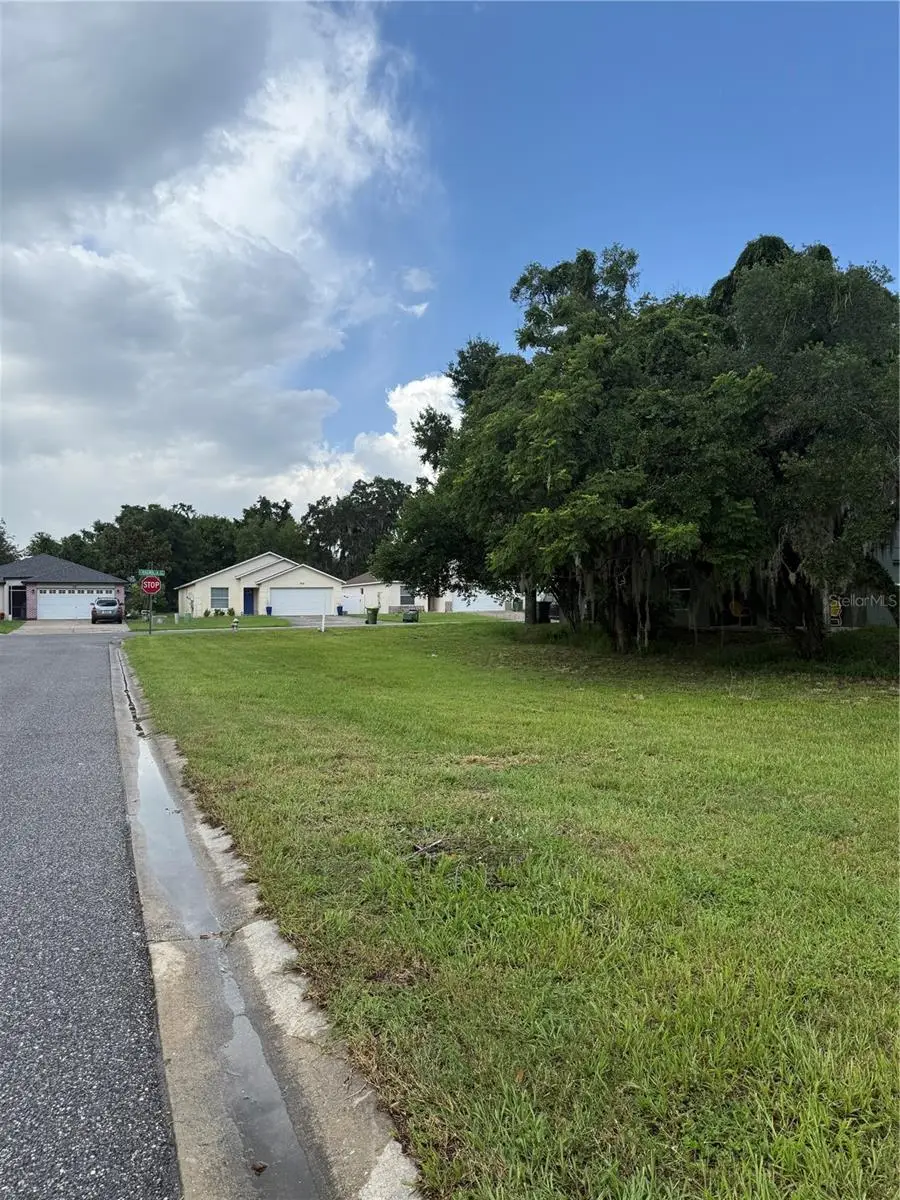 Magnolia Street, Leesburg, FL 34748 - #1