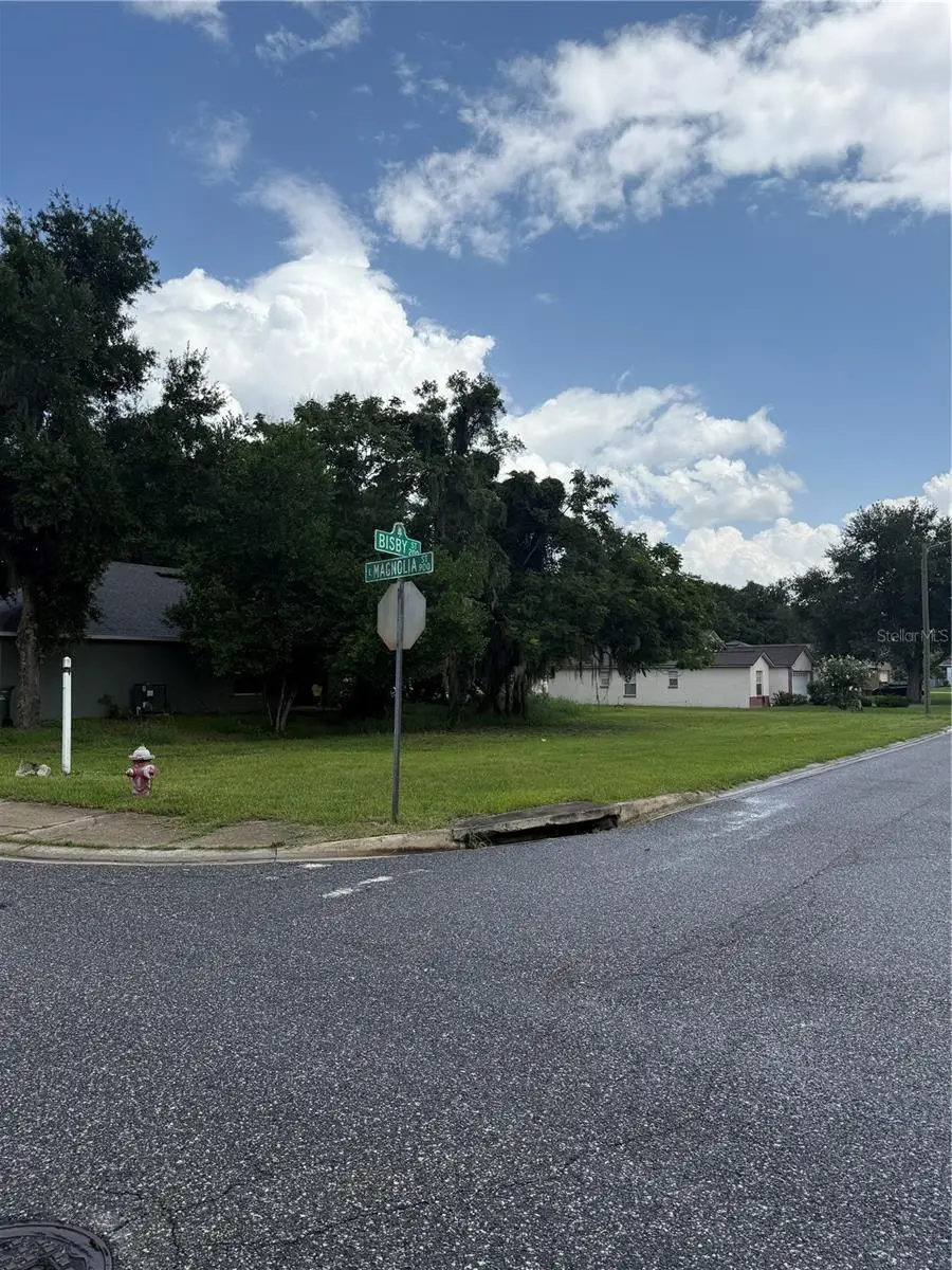 Magnolia Street, Leesburg, FL 34748 - #2