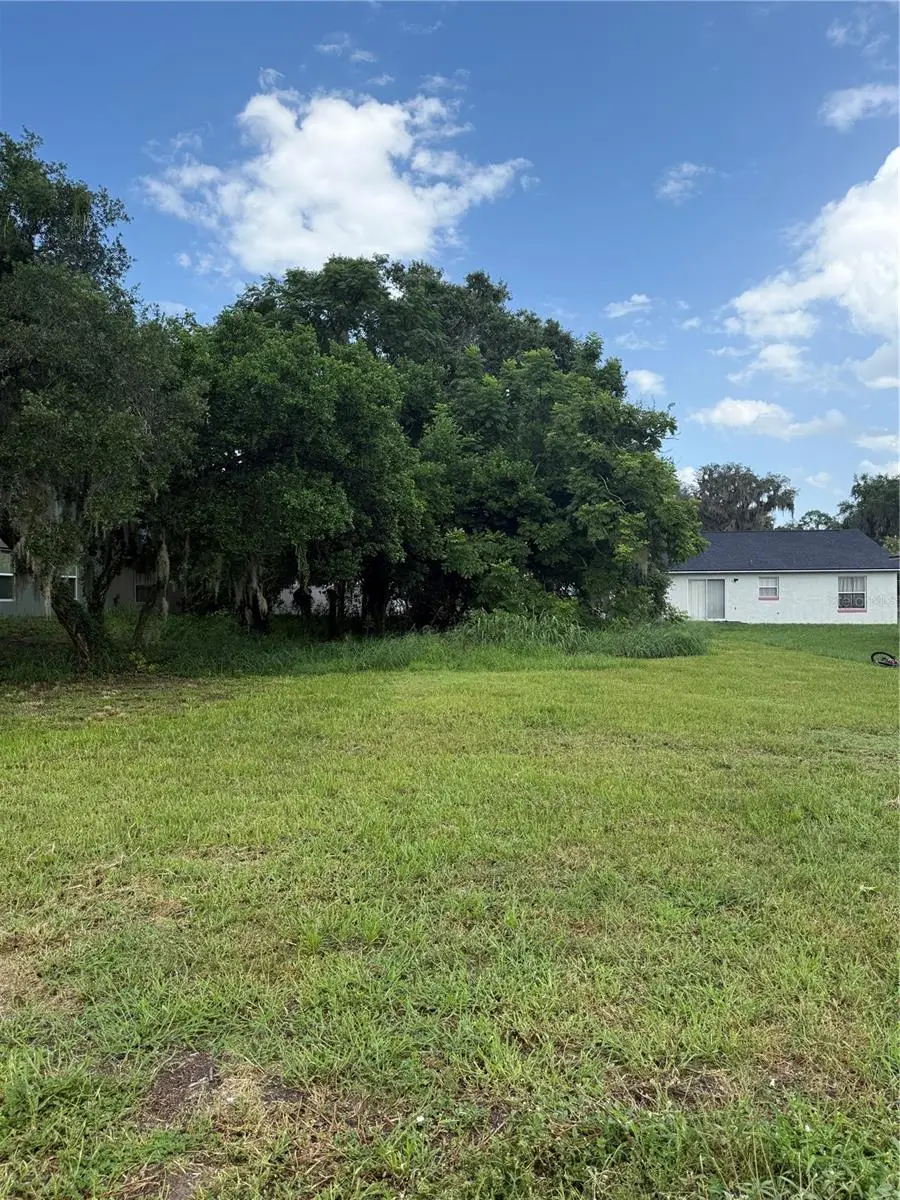 Magnolia Street, Leesburg, FL 34748 - #3