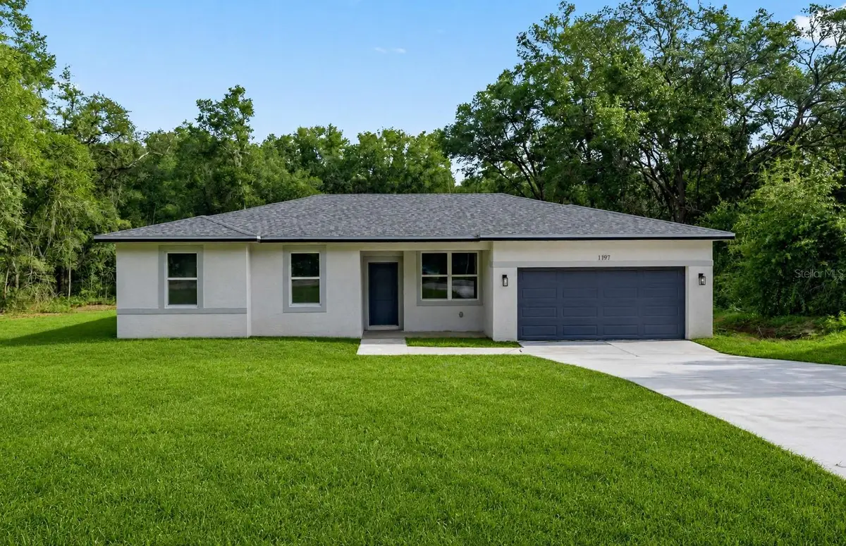 1197 W G Martinelli Boulevard, Citrus Springs, FL 34434 - #1