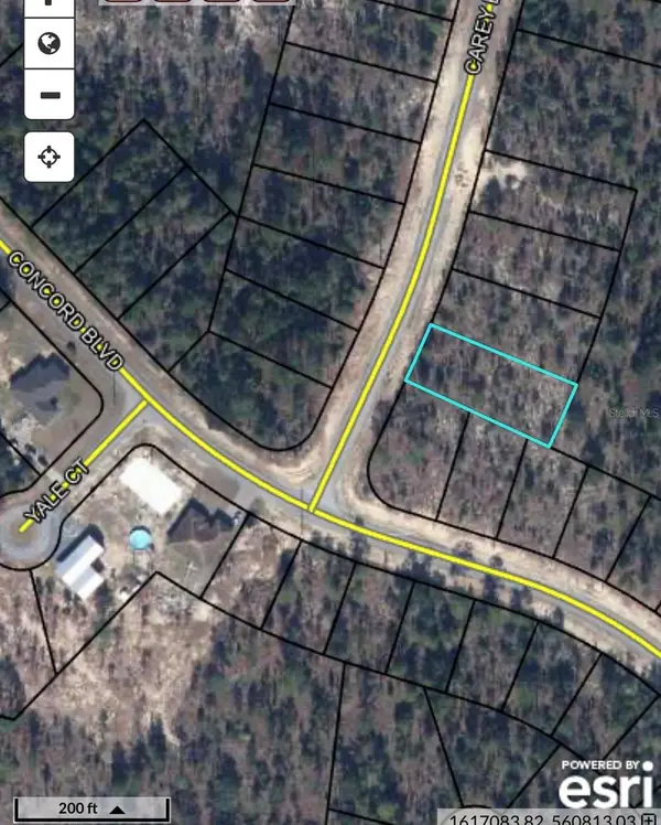 TBD Carey Boulevard, CHIPLEY, FL 32428