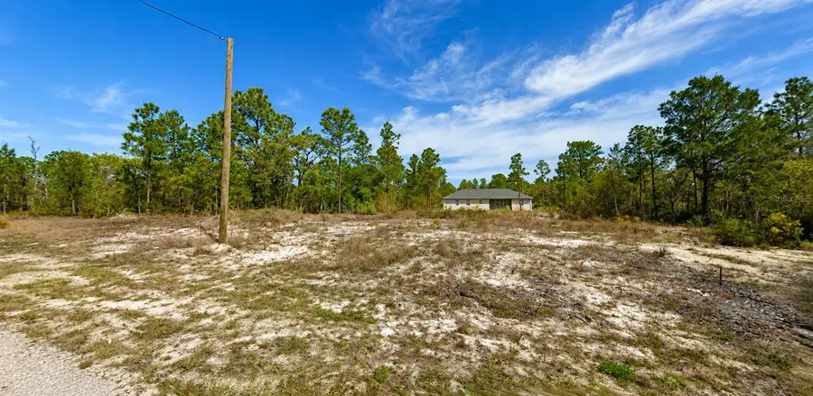 3539 W Seahorse Lane, Citrus Springs, FL 34433 - #2