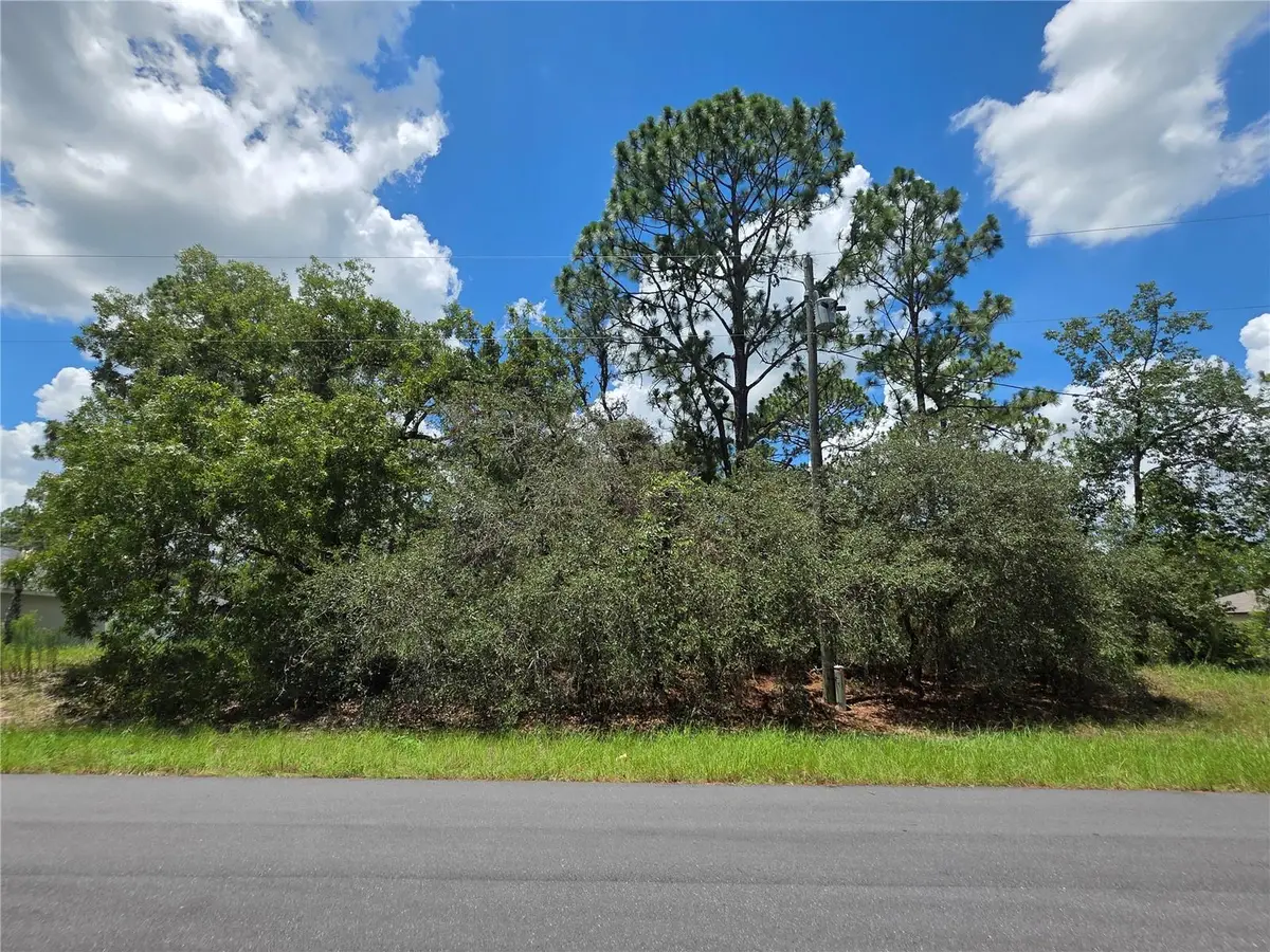 SW 60th Terrace, Ocala, FL 34473 - #1