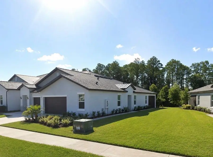 16890 Forge Surf Street, Land O Lakes, FL 34638 - #2