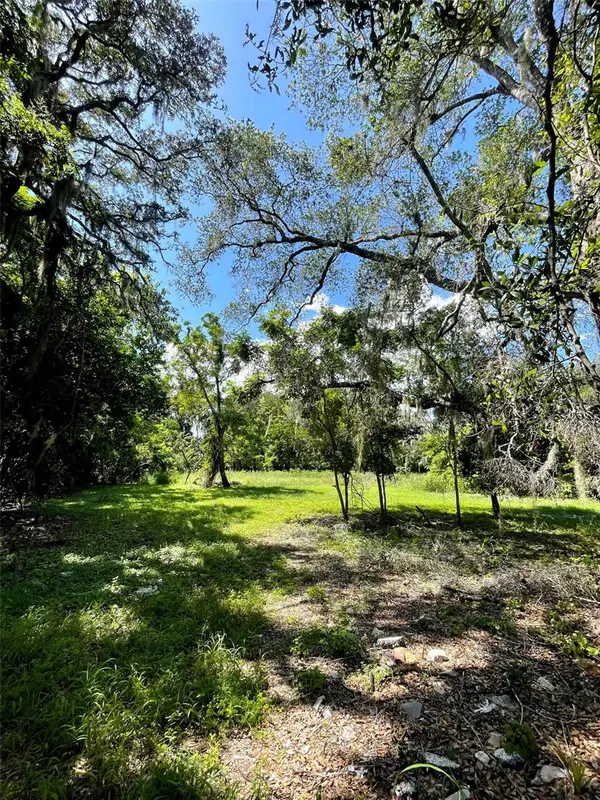 194 E 11th Street, APOPKA, FL 32703