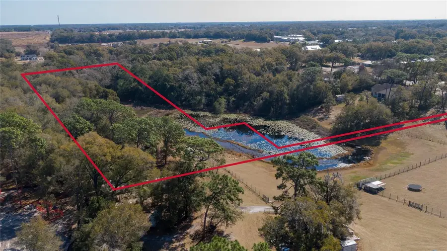5049 King Avenue, Zellwood, FL 32798 - #3