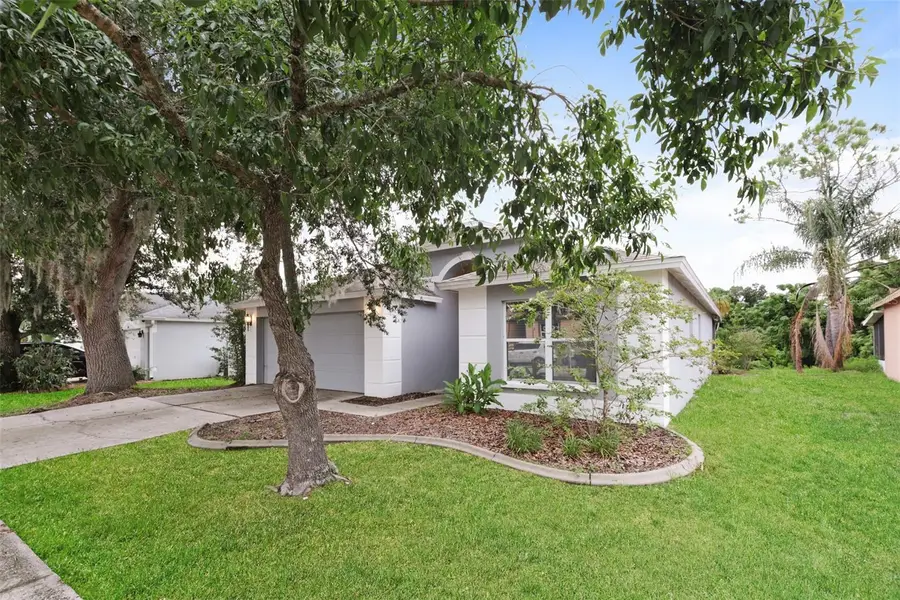 823 Rocky Mountain Court, Valrico, FL 33594 - #2