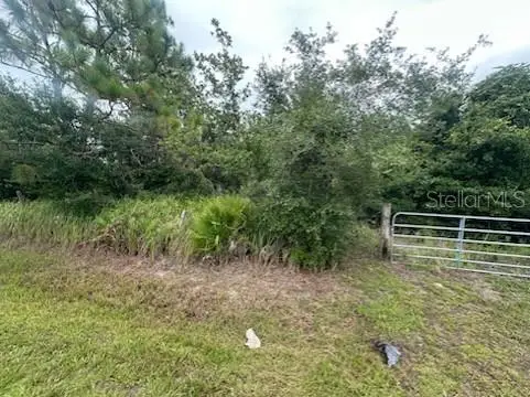 3355 5311 Costa Del Sol Dr Avenue, Saint Cloud, FL 34771 - #2