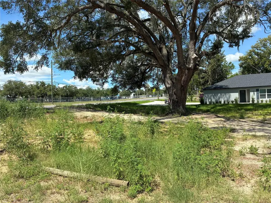 2106 S South Street, Leesburg, FL 34748 - #3