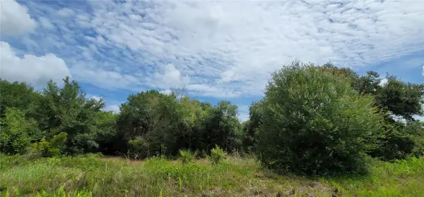 Nw 268th Street Lot N, OKEECHOBEE, FL 34972