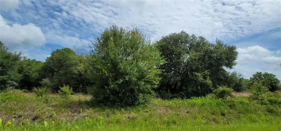 Nw 268th Street Lot N, Okeechobee, FL 34972 - #3