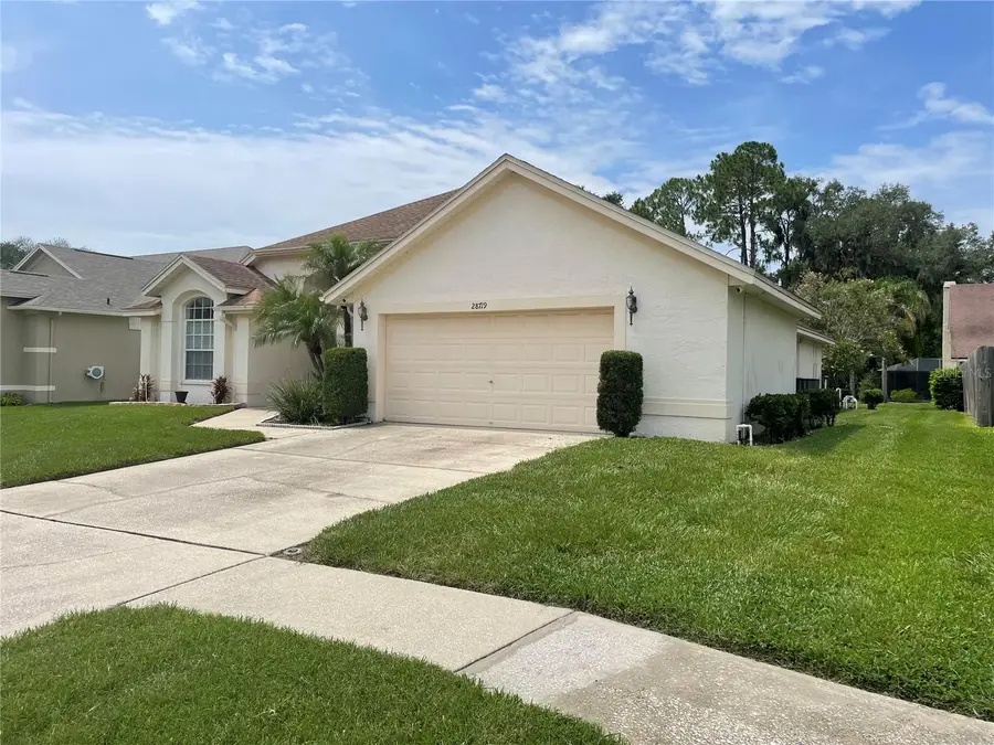 28719 Raleigh Place, Wesley Chapel, FL 33545 - #3