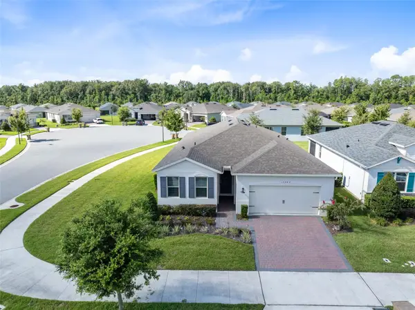 17782 Blazing Star Circle, CLERMONT, FL 34714