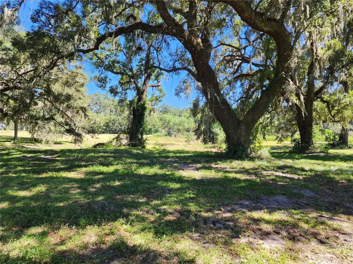 7670 NW 137th Avenue, Morriston, FL 32668 - #1