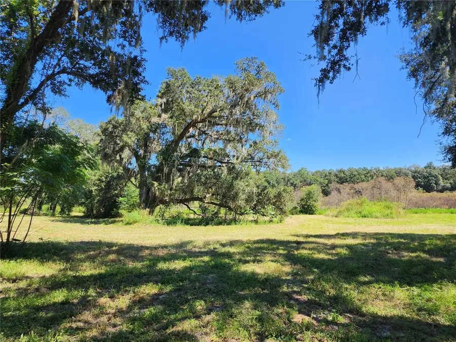 7670 NW 137th Avenue, Morriston, FL 32668 - #3