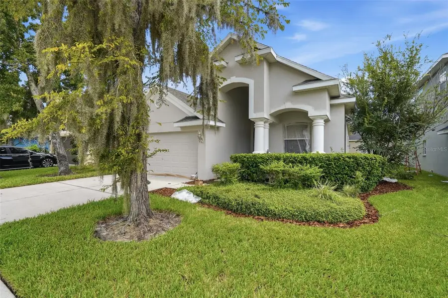 30718 Pumpkin Ridge Drive, Wesley Chapel, FL 33543 - #2