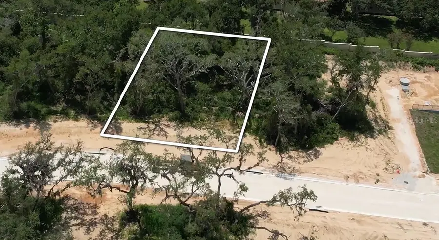 146 Tranquil Mirror Lake Court #Lot 19, Clermont, FL 34711 - #3