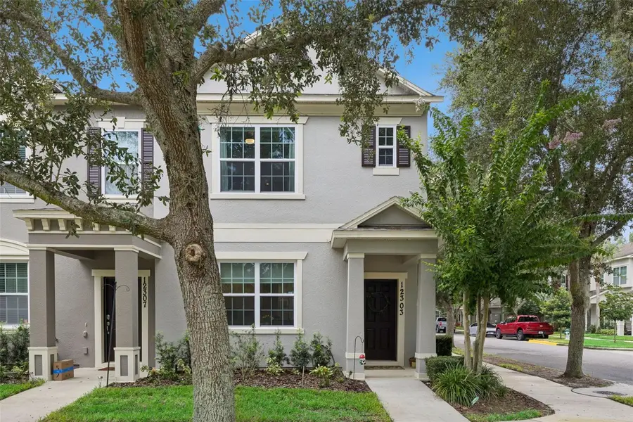 12303 Langstaff Drive, Windermere, FL 34786 - #2