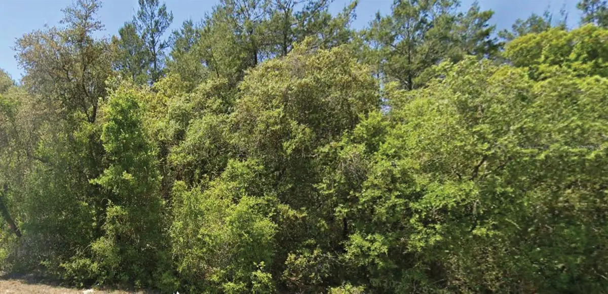 0 SE 309 Avenue, Altoona, FL 32702 - #1