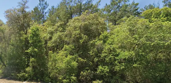 0 SE 309 Avenue, ALTOONA, FL 32702