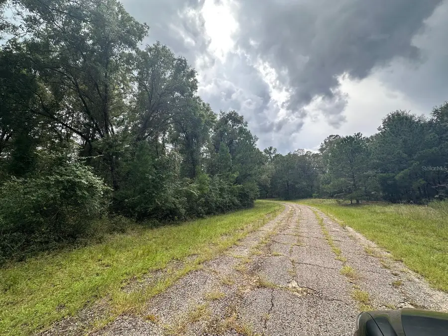1574 E Ivydale Drive, Citrus Springs, FL 34434 - #2