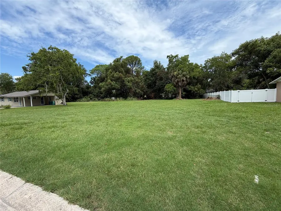 Virginia Avenue, Eustis, FL 32726 - #3