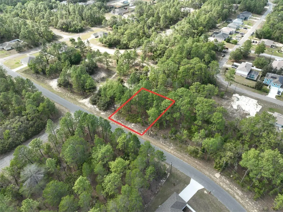 1921 W Riley Drive, Citrus Springs, FL 34434 - #1