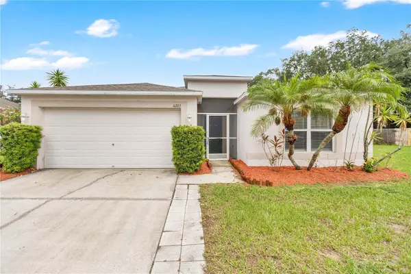 6203 Venezia Place, RIVERVIEW, FL 33578
