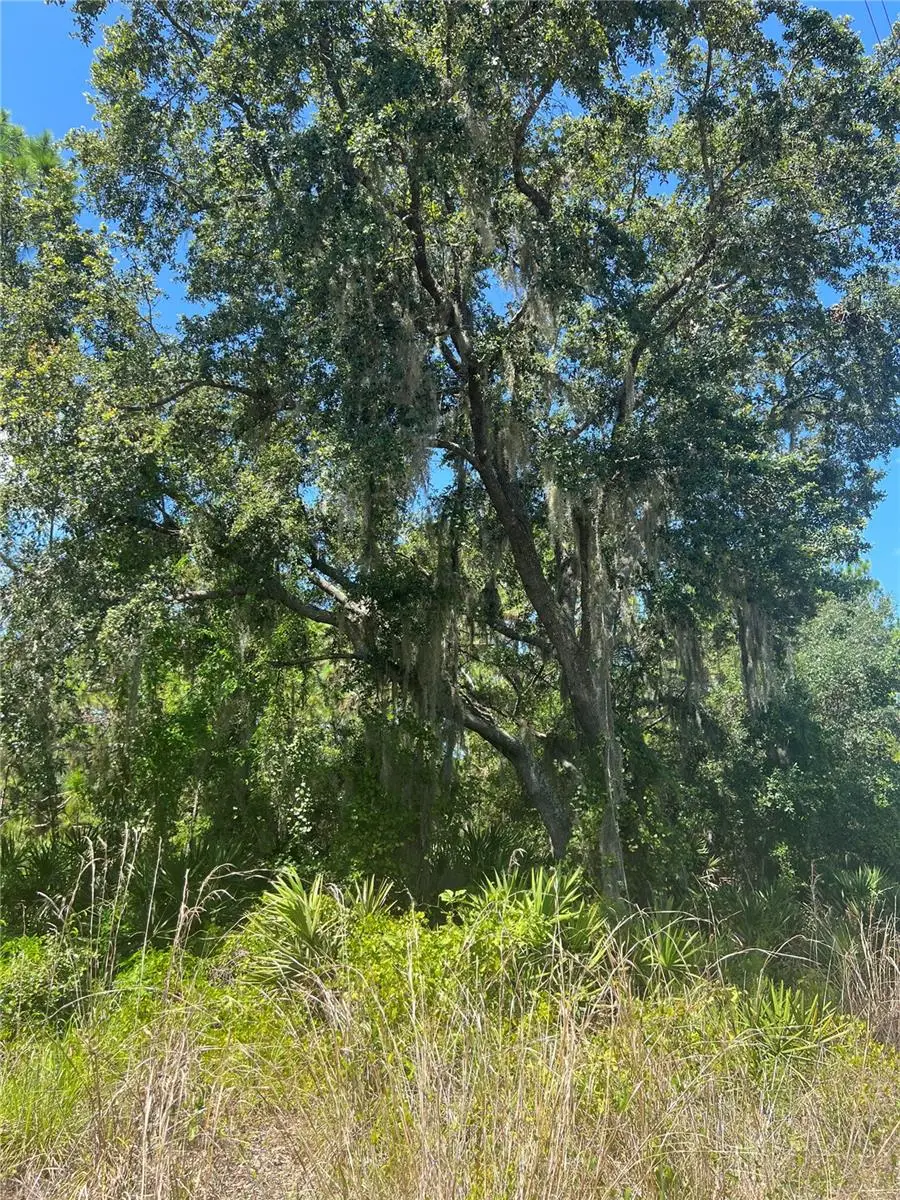 0 Granada Drive, Indian Lake Estates, FL 33855 - #2