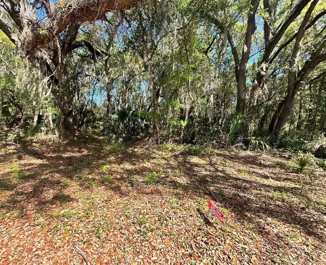 Guava Terrace, Ocklawaha, FL 32179 - #1