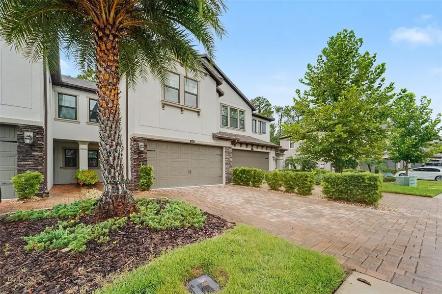 5150 San Martino Drive, Wesley Chapel, FL 33543 - #2