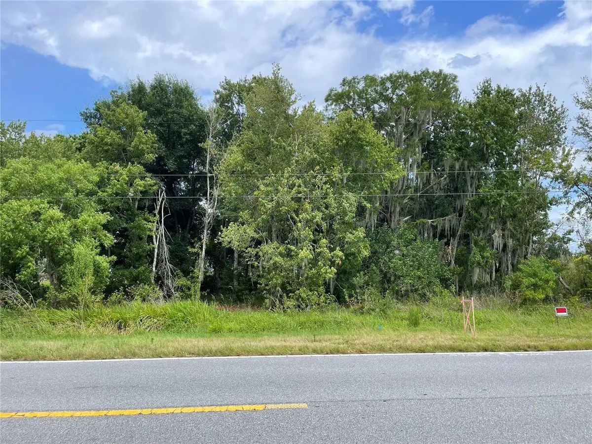 E Lake Shore Boulevard, Kissimmee, FL 34744 - #1