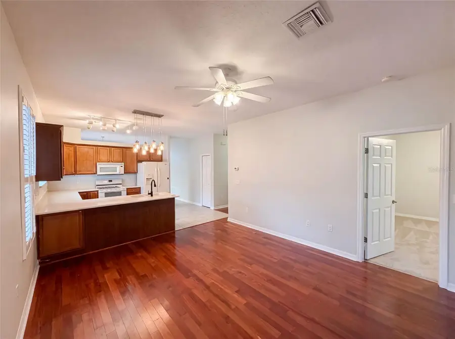 33450 Irongate Drive, Leesburg, FL 34788 - #3