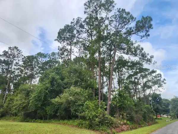 14634 Henson Road, ORLANDO, FL 32832