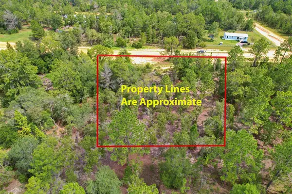 515 Interlachen Boulevard, INTERLACHEN, FL 32148