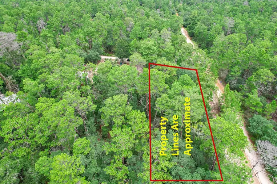 206 Utah Street, Satsuma, FL 32189 - #2
