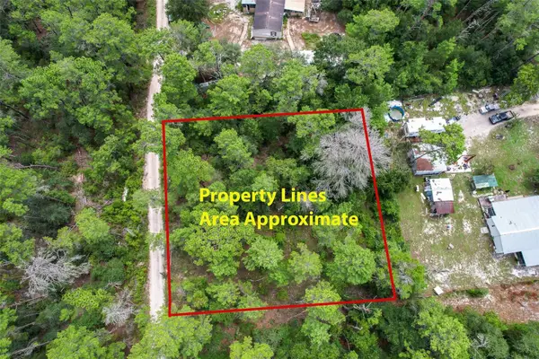 202 Utah Street, SATSUMA, FL 32189