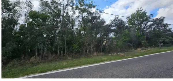 Mystery House Road, HAINES CITY, FL 33844