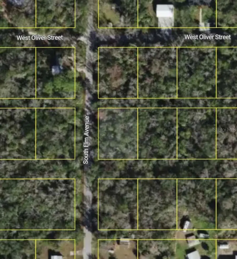 10243 W Palmetto Street, Homosassa, FL 34448 - #2