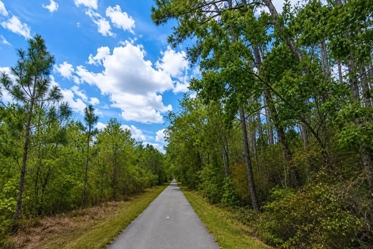 00 Van Fleet Trail, Polk City, FL 33868 - #1