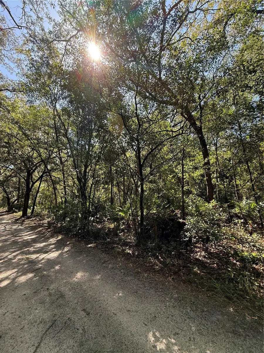 Tbd Sw 152nd Place, Dunnellon, FL 34432 - #1