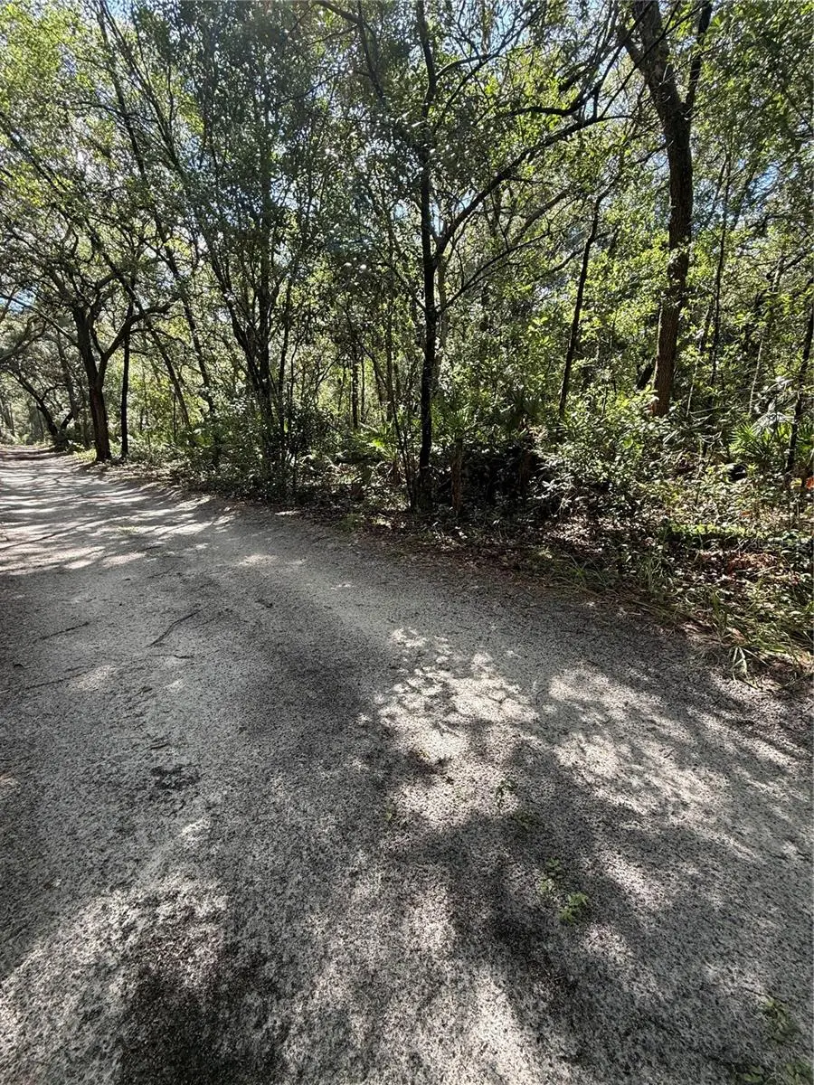 Tbd Sw 152nd Place, Dunnellon, FL 34432 - #2
