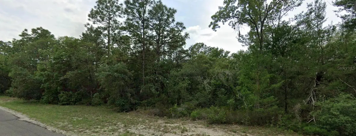 0 SW 151 Place, Dunnellon, FL 34432 - #1