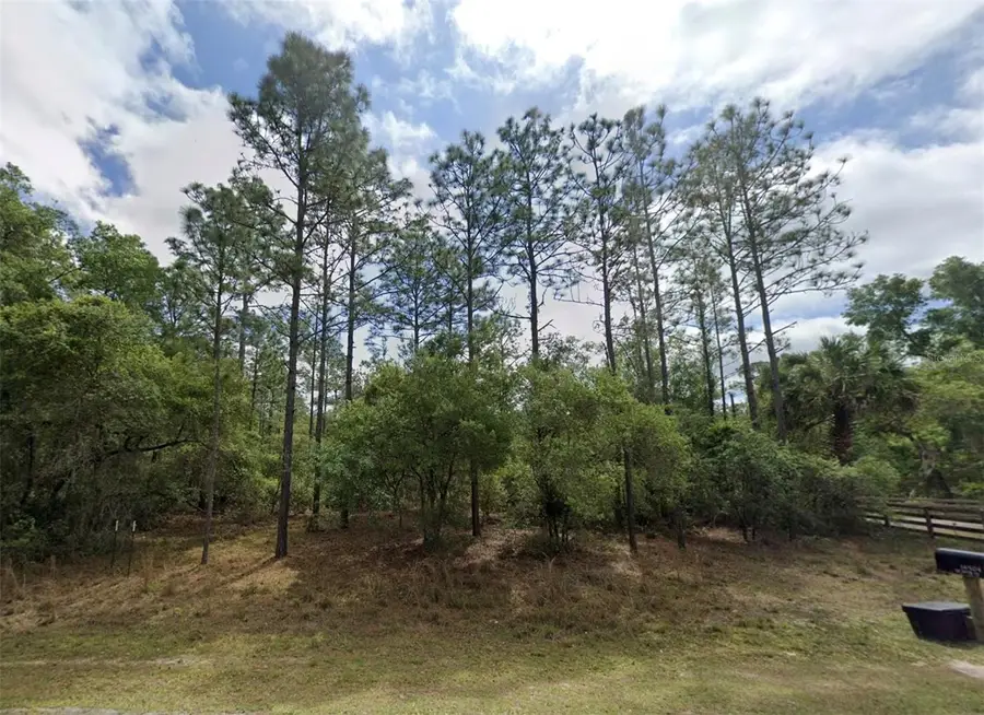 Lot 1 NE 127th Street, Fort McCoy, FL 32134 - #3