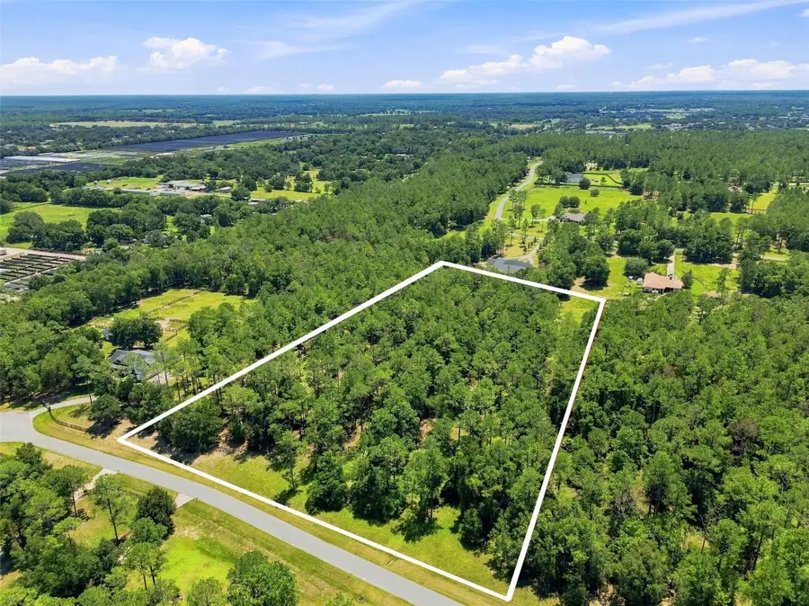 24150 Greenwood Crossing, Eustis, FL 32736 - #2