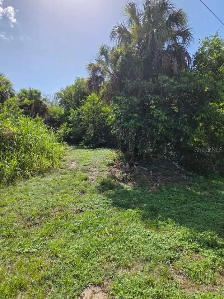 16980 SW Conners Highway, Canal Point, FL 33438 - #3