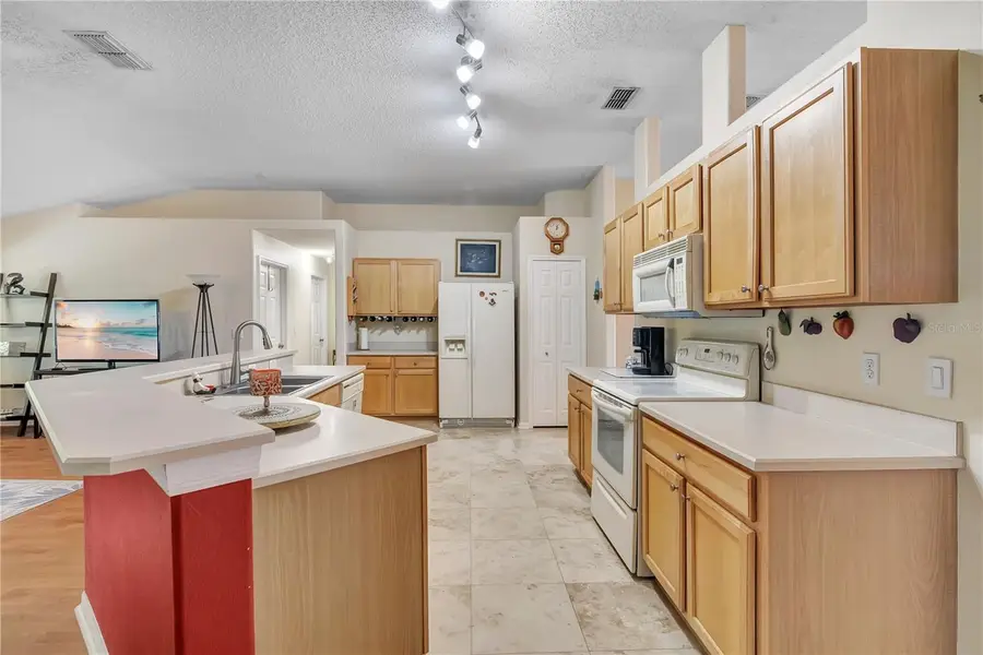 1193 Winterville Street, Deltona, FL 32725 - #3