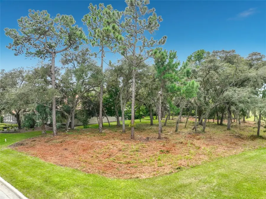 262 Osprey Hammock Trail, Sanford, FL 32771 - #3