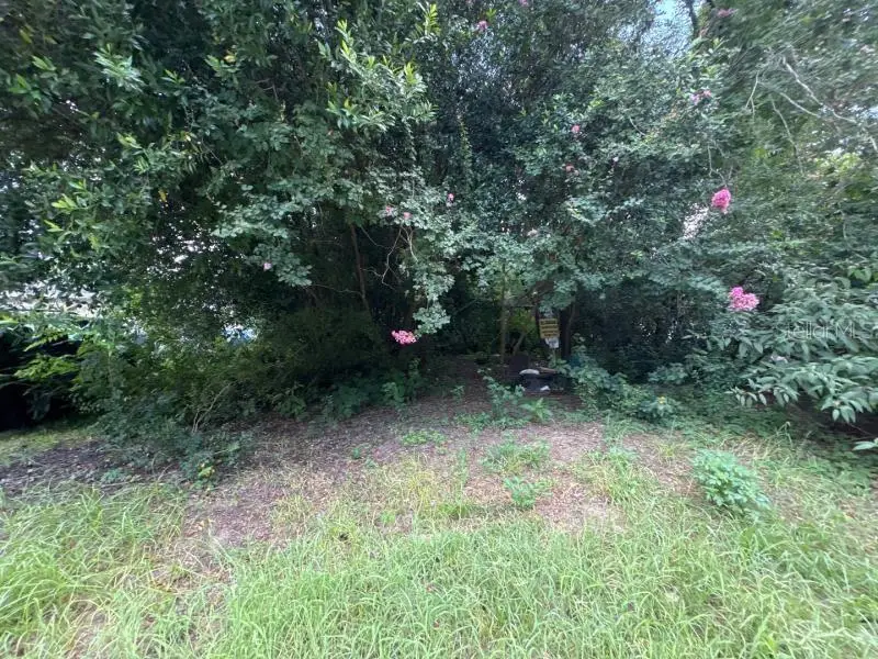 3935 SE 140th Lane, Summerfield, FL 34491 - #2